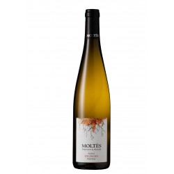 Alsace Tradition Edelzwicker 2020