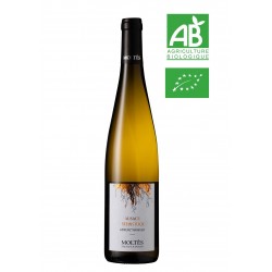 Alsace Terroir Gewurztraminer Steinberg 2021 BIO