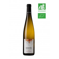 Alsace Tradition Muscat d’Alsace 2022 BIO
