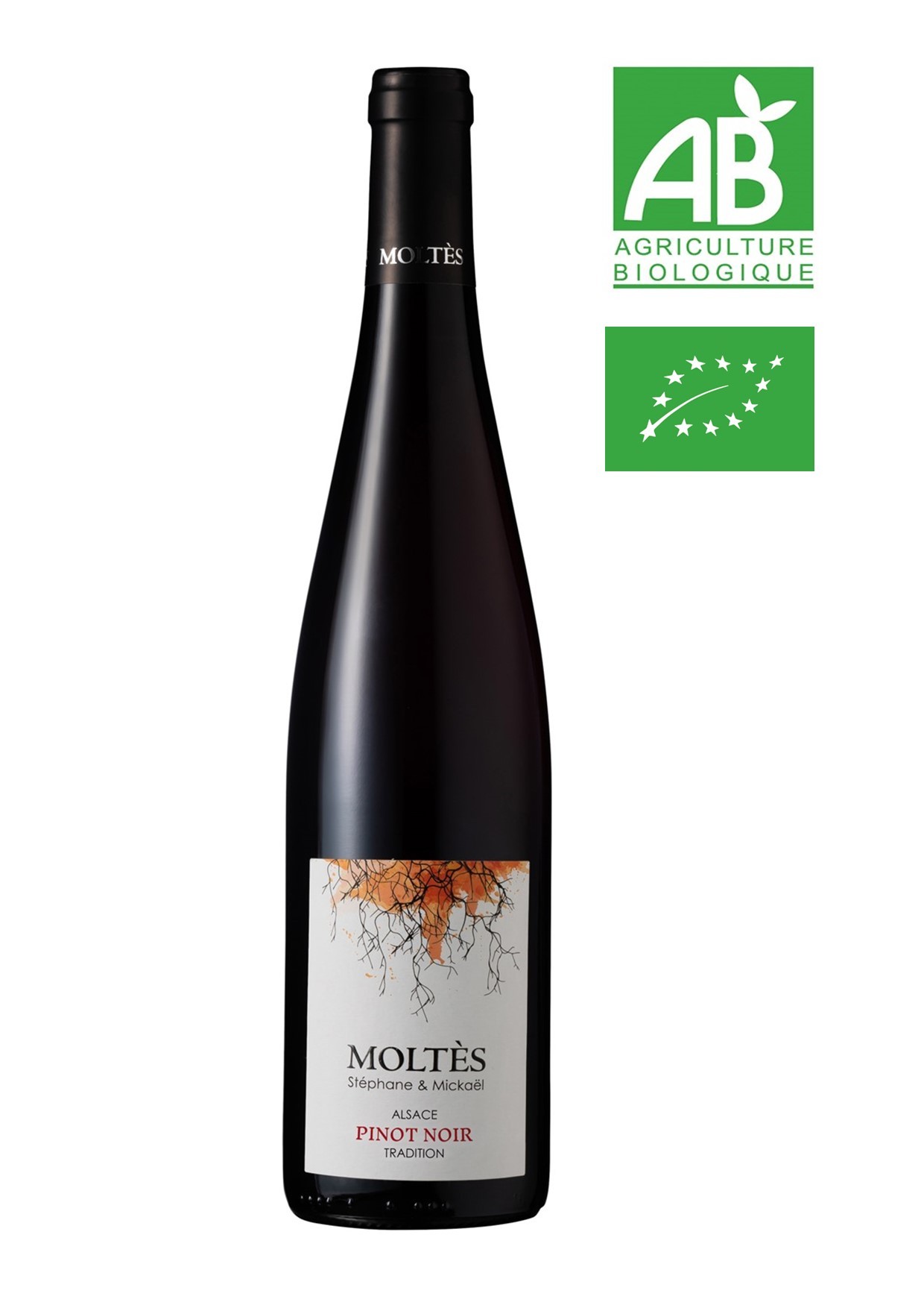 Alsace Tradition Pinot Noir 2025 BIO
