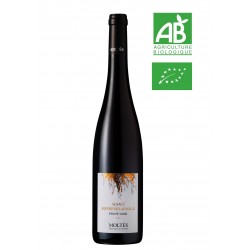 Alsace Terroir Pinot Noir Sonnenglaenzlé BIO 2018