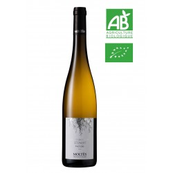 Alsace Grand Cru Steinert Pinot Gris BIO 2020