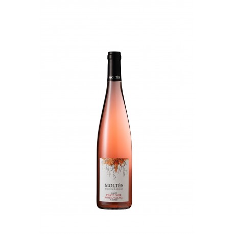Alsace Tradition Rosé d'Alsace 2024 (offre)