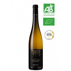 Alsace Vendanges Tardives Gewurztraminer 2023 BIO