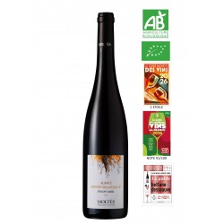 Alsace Terroir Pinot Noir Sonnenglaenzlé BIO 2023