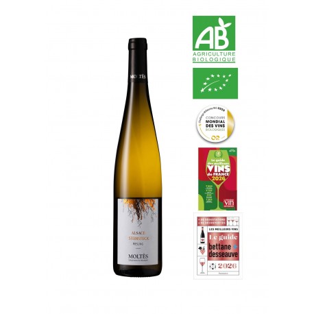 Alsace Terroir Riesling Steinstück 2023 BIO