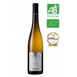 Alsace Grand Cru Steinert Pinot Gris 2024 BIO