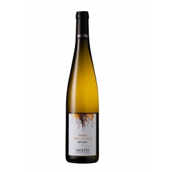 Alsace Terroir Riesling Terre d’Apollon 2024 BIO