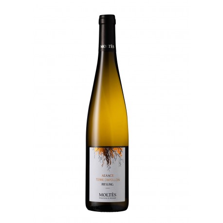 Alsace Terroir Riesling Terre d’Apollon 2024 BIO
