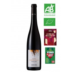 Alsace Terroir Pinot Noir Sonnenglaenzlé 2024 BIO