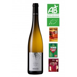Alsace Grand Cru Steinert Pinot Gris BIO 2024