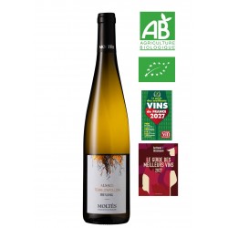 Alsace Terroir Riesling Terre d’Apollon 2024 BIO