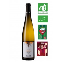 Alsace Terroir Pinot Gris Steinstück 2022 BIO